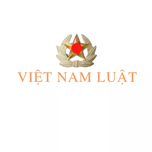 timeline_post_file61f211f317af7-Việt-nam-luật.png.webp