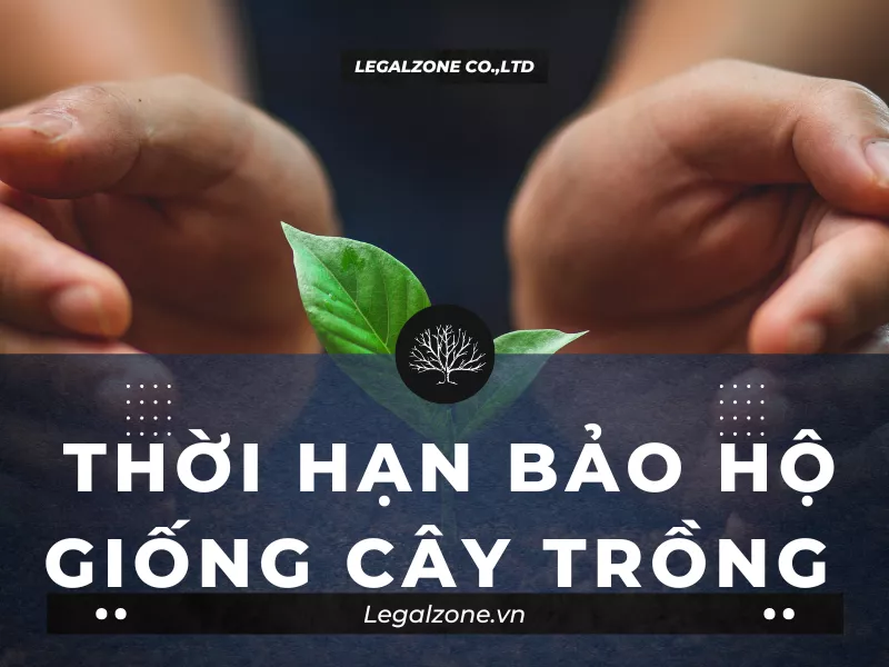timeline_post_file63aa5854cd893-Thời-hạn-bảo-hộ-giống-cây-trồng-.png.webp